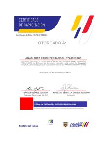 ANASI-DIAZ-ERICK-FERNANDO---1724930605